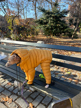 Tie Dyed Dog Puffer