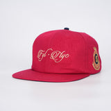 Premium Cap Designs