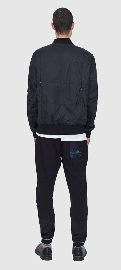 Compartmental Bomber