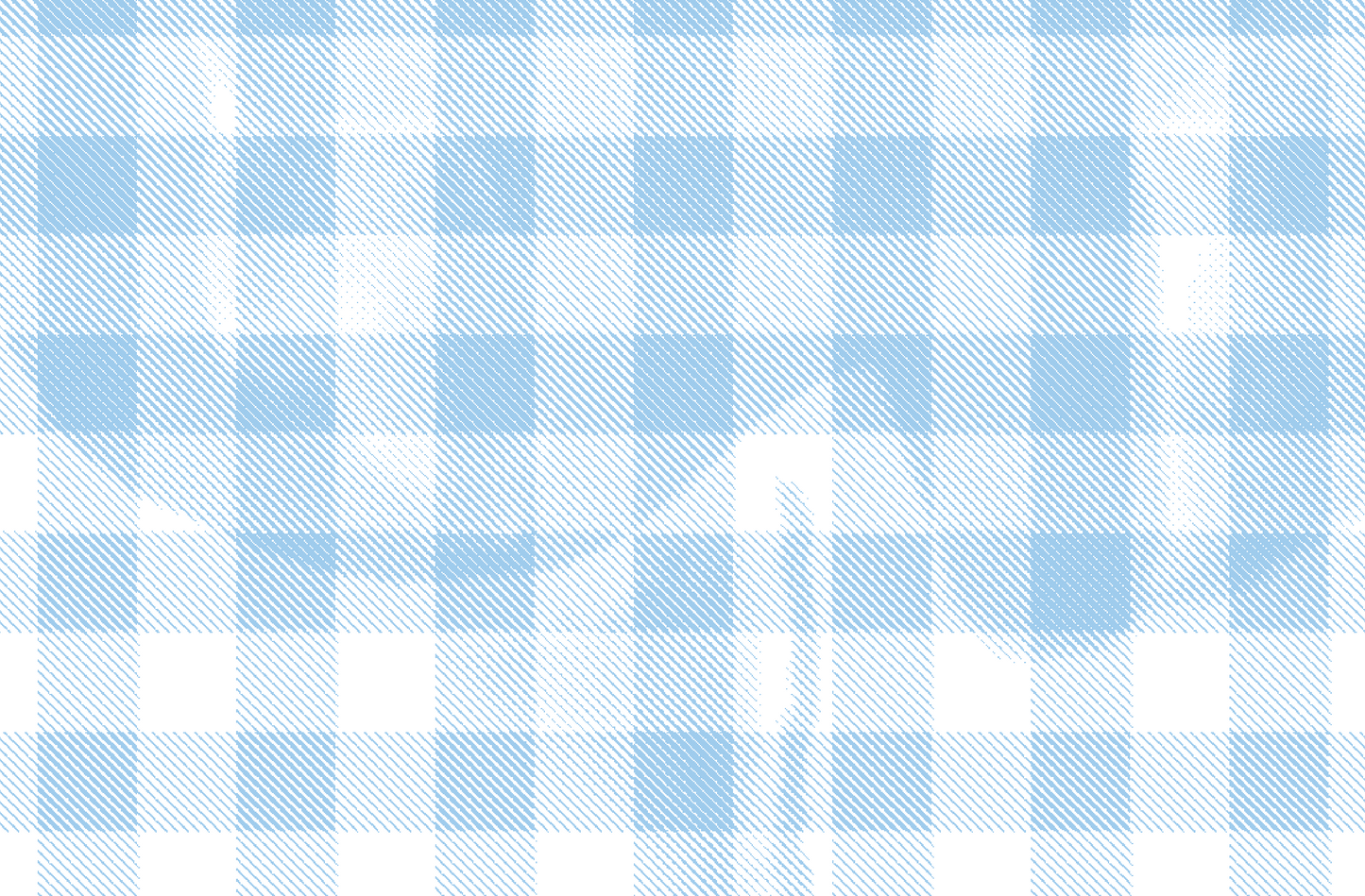 Spring Gingham Group