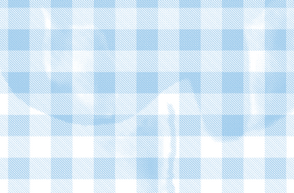 Spring Gingham Group