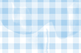 Spring Gingham Group